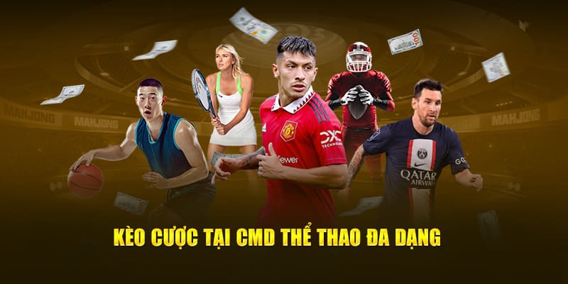 Trãi nghiệm thực tế từ người chơi CMD Thể Thao