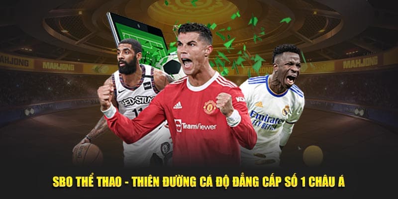 Những loại kèo cá cược phổ biến tại SBO King88